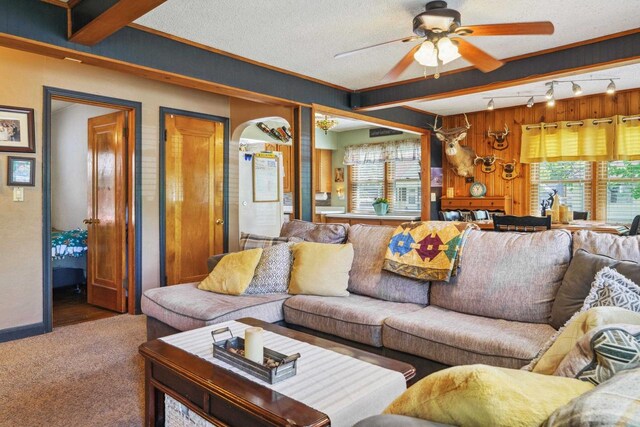 60 Madison Ave, Port Edwards, WI 54469 - living area featuring a ceiling fan, track lighting, carpet, crown molding, and baseboards