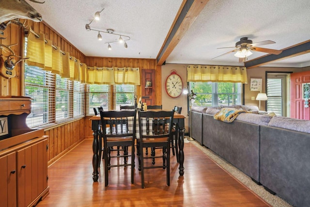 60 Madison Ave, Port Edwards, WI 54469 - dining space with a ceiling fan, plenty of natural light, wooden walls, a textured ceiling, and wood finished floors