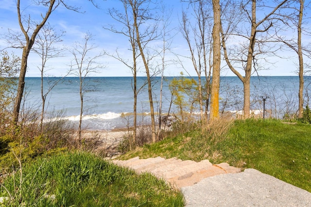 6625 Charles St, Racine, WI 53402 - water view