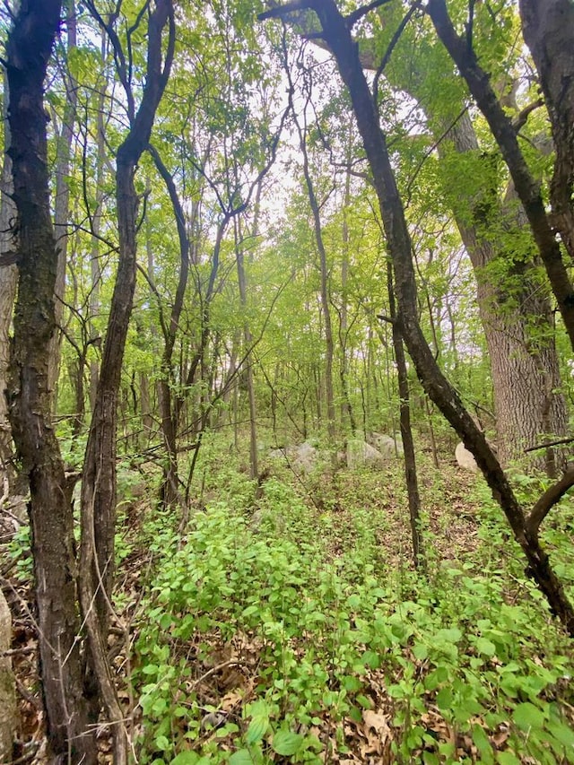 Hillside Dr, Weyauwega, WI 54983