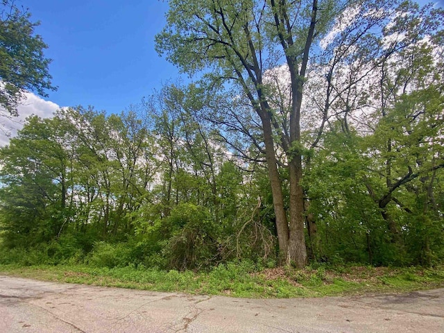 Hillside Dr, Weyauwega, WI 54983