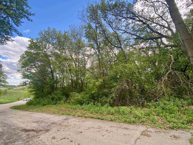 Hillside Dr, Weyauwega, WI 54983