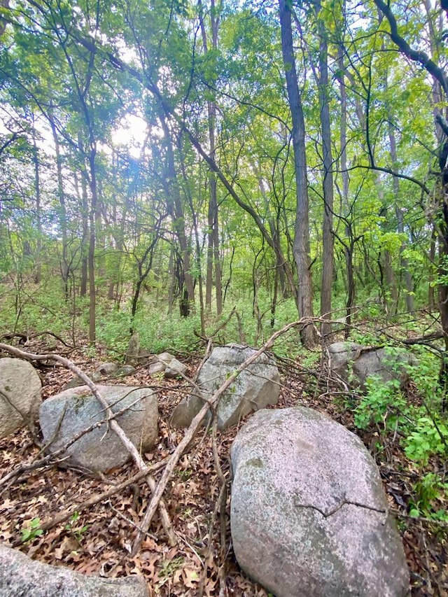 Hillside Dr, Weyauwega, WI 54983