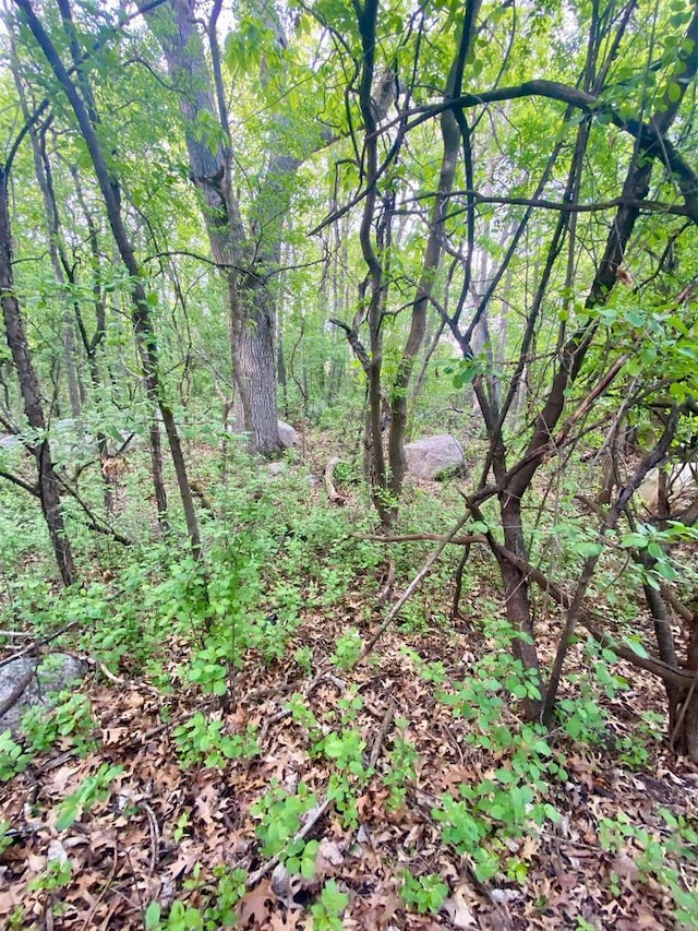 Hillside Dr, Weyauwega, WI 54983