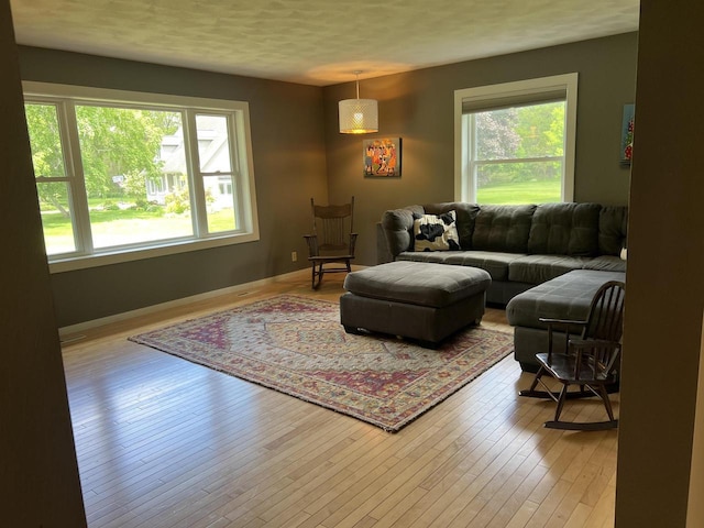 S9085 Meadowdale Rd, Prairie Du Sac, WI 53578 - living area with healthy amount of natural light, wood-type flooring, and baseboards