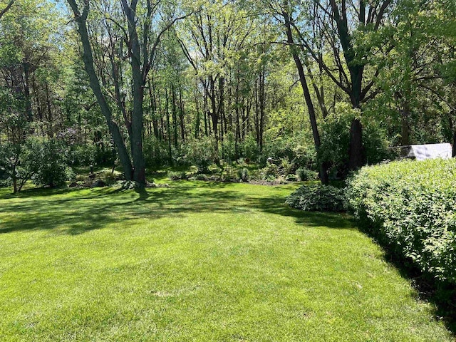 S9085 Meadowdale Rd, Prairie Du Sac, WI 53578 - view of green lawn