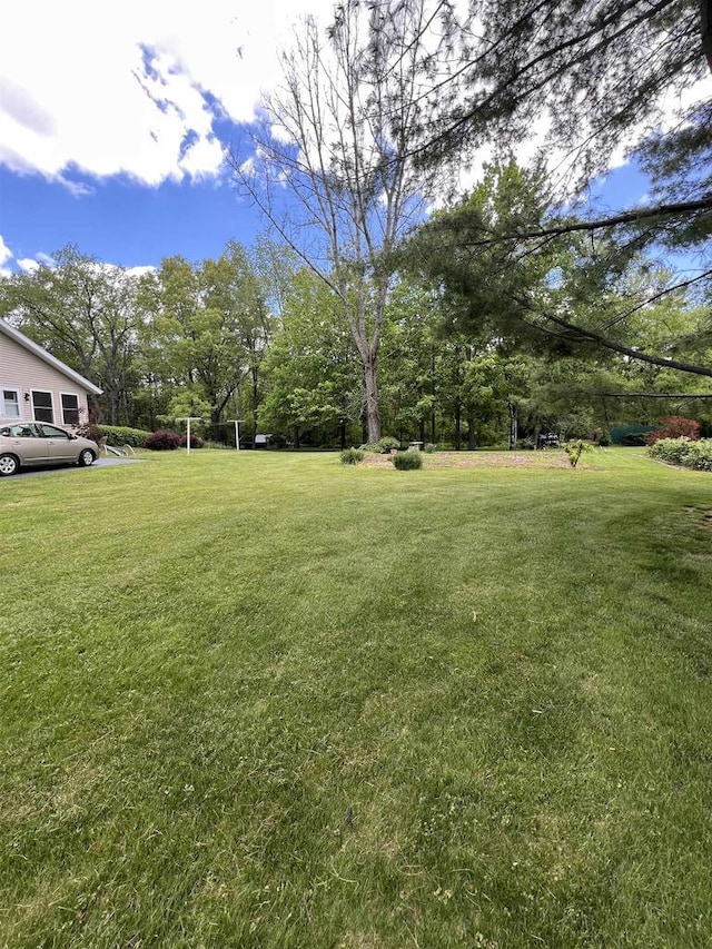 S9085 Meadowdale Rd, Prairie Du Sac, WI 53578 - view of grassy yard