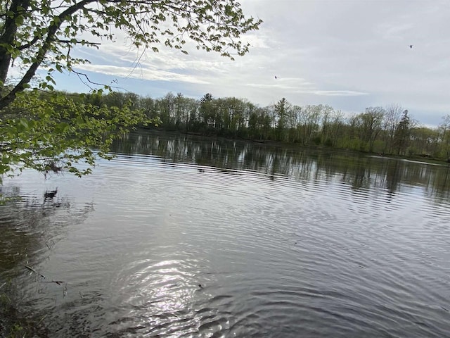 N11217 Rademaker Rd, Wausaukee, WI 54177