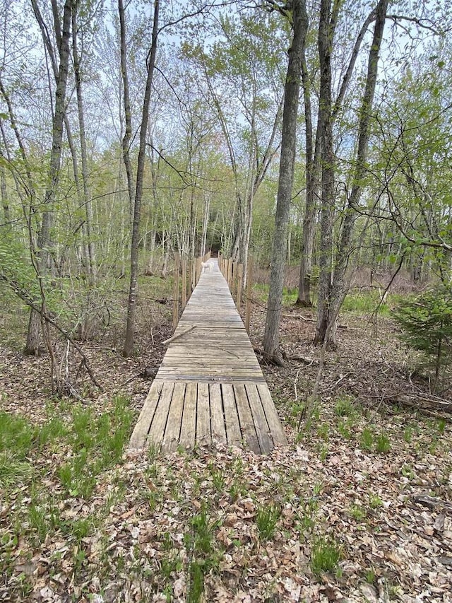 N11217 Rademaker Rd, Wausaukee, WI 54177