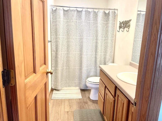 1401 E Bedford Ln, Appleton, WI 54915 - full bathroom with toilet, vanity, and wood finished floors