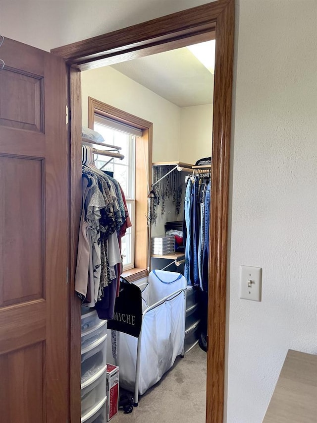 1401 E Bedford Ln, Appleton, WI 54915 - walk in closet with light colored carpet