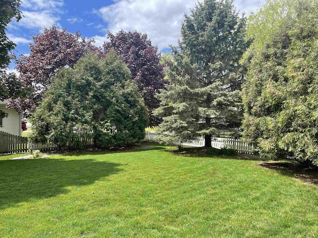 1401 E Bedford Ln, Appleton, WI 54915 - view of yard