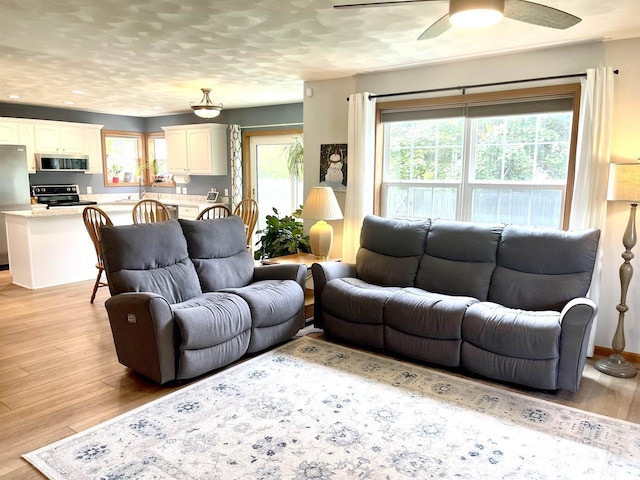 1401 E Bedford Ln, Appleton, WI 54915 - living area featuring light wood finished floors and a ceiling fan