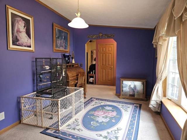 7098 Fire Tower Rd, Rhinelander, WI 54501 - living area featuring carpet flooring, arched walkways, ornamental molding, and baseboards