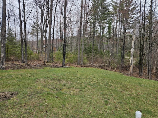 7098 Fire Tower Rd, Rhinelander, WI 54501 - view of green lawn featuring a view of trees