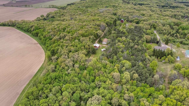 8401 4th Ave, Almond, WI 54909 - aerial view of property's location with a forest
