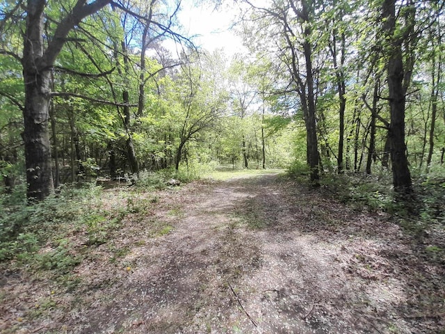 8401 4th Ave, Almond, WI 54909 - view of woods