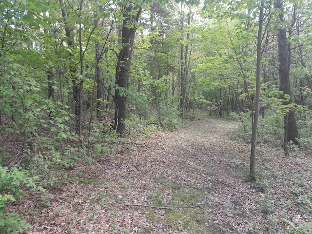 8401 4th Ave, Almond, WI 54909 - view of tree filled area