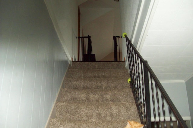 N5795 County Road A, Deerbrook, WI 54424 - stairs featuring carpet flooring