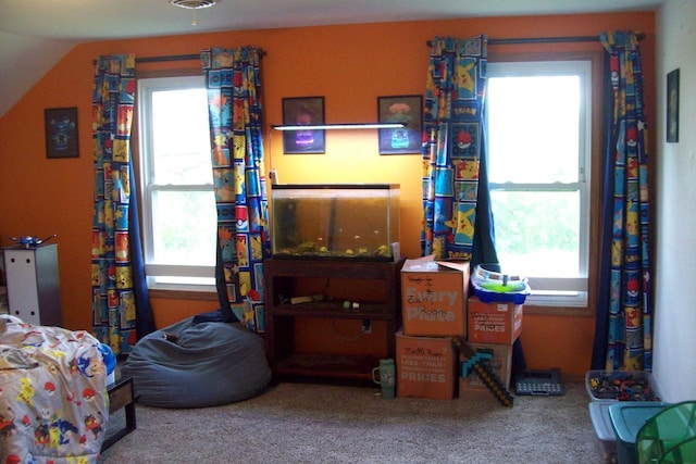 N5795 County Road A, Deerbrook, WI 54424 - bedroom with carpet and lofted ceiling