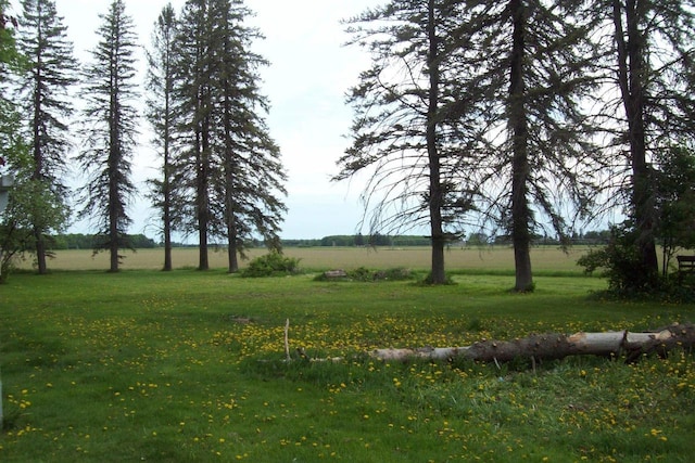 N5795 County Road A, Deerbrook, WI 54424 - view of grassy yard