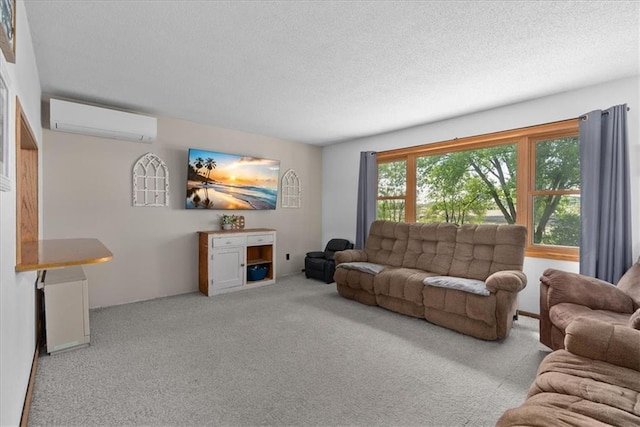 E7065 E County Road B, Colfax, WI 54730 - carpeted living area with a wall mounted AC and a textured ceiling