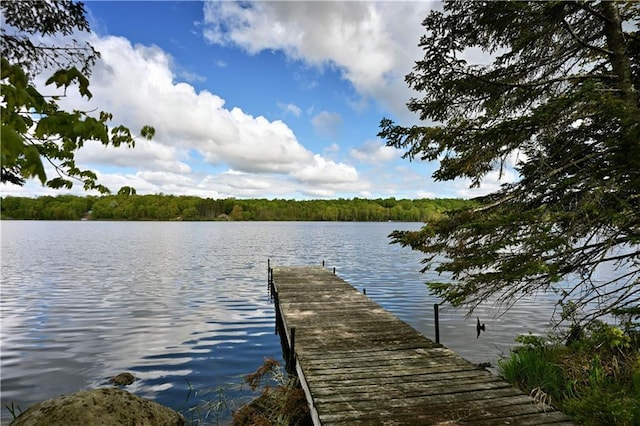 82912 Augustine Rd, Glidden, WI 54527 - dock with a water view and a wooded view