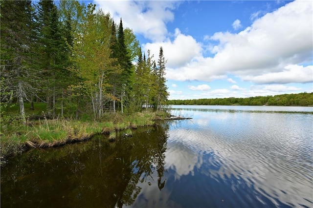 82912 Augustine Rd, Glidden, WI 54527 - water view featuring a heavily wooded area