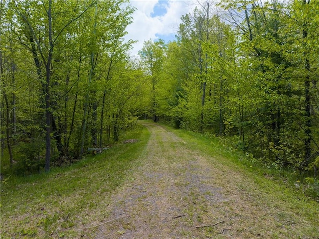 82912 Augustine Rd, Glidden, WI 54527 - view of street featuring a forest view