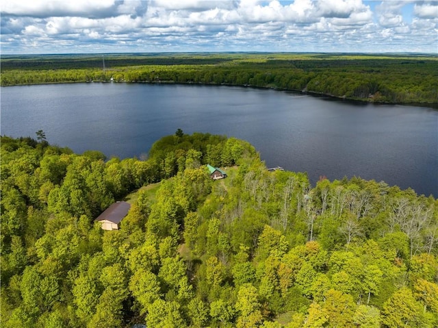 82912 Augustine Rd, Glidden, WI 54527 - drone / aerial view of a heavily wooded area and a large body of water