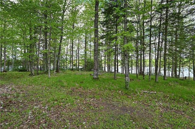 82912 Augustine Rd, Glidden, WI 54527 - view of nature