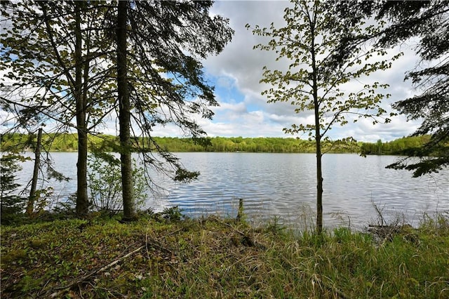 82912 Augustine Rd, Glidden, WI 54527 - water view