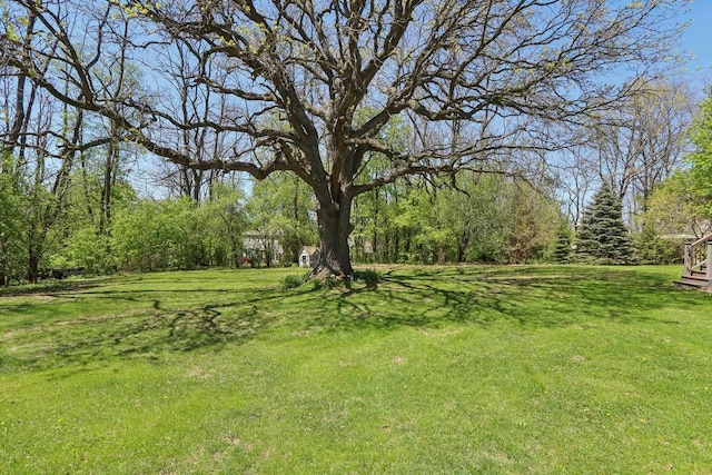 10 Prairie Hill Ct, Madison, WI 53719 - view of green lawn