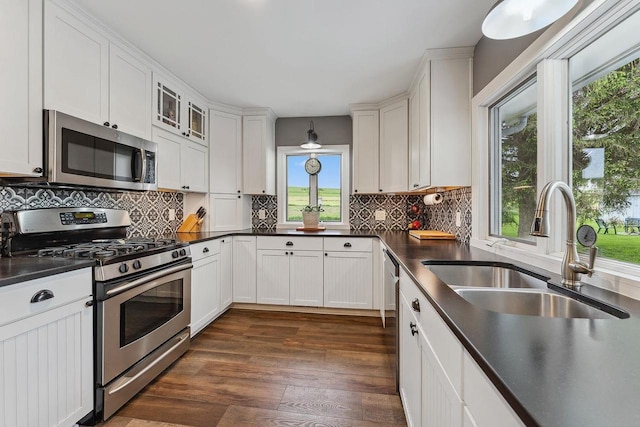 N3504 State Rd 80, Elroy, WI 53929 - kitchen with stainless steel appliances, a sink, plenty of natural light, and dark countertops