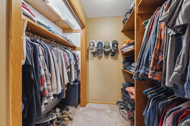 N3504 State Rd 80, Elroy, WI 53929 - walk in closet with carpet flooring