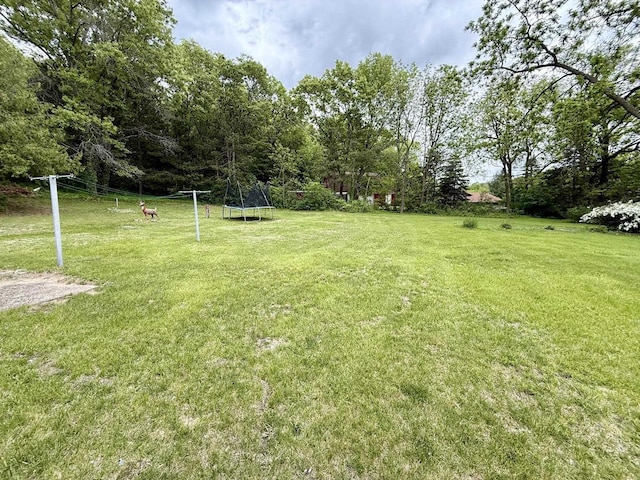 105 Cliff St, Camp Douglas, WI 54618 - view of green lawn featuring a trampoline