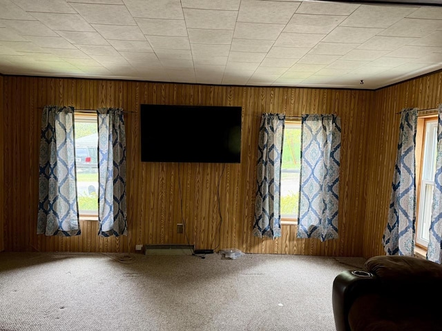 105 Cliff St, Camp Douglas, WI 54618 - unfurnished living room featuring carpet flooring and wood walls