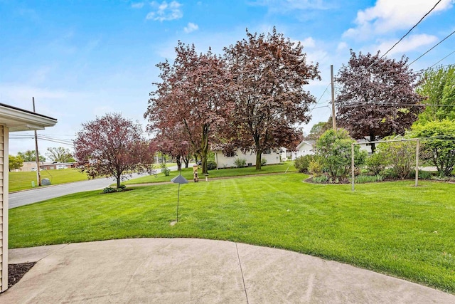 904 S Hamlin St, Shawano, WI 54166 - view of green lawn