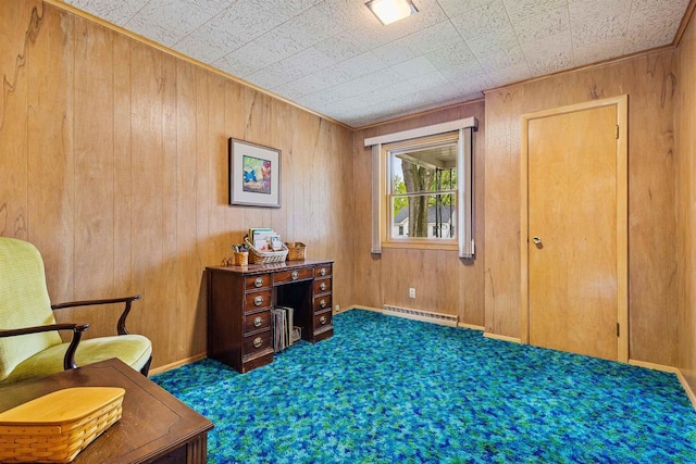 904 S Hamlin St, Shawano, WI 54166 - sitting room with a baseboard heating unit, wooden walls, and dark colored carpet