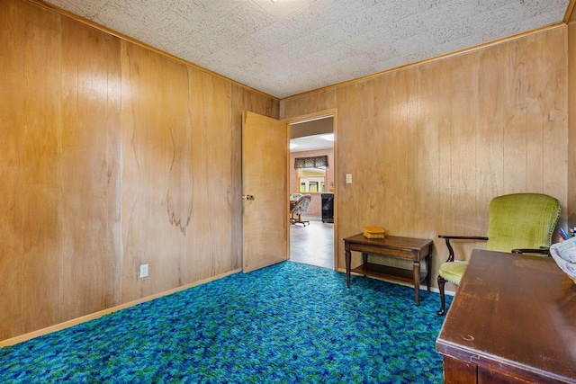 904 S Hamlin St, Shawano, WI 54166 - office with wood walls and carpet flooring