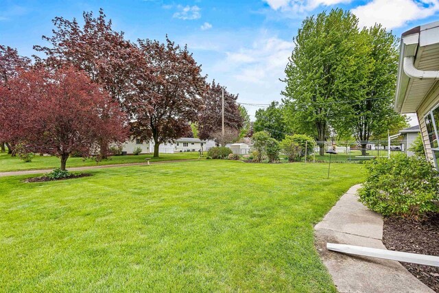 904 S Hamlin St, Shawano, WI 54166 - view of green lawn