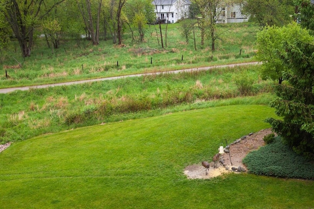 211 Oconomowoc Pkwy, Oconomowoc, WI 53066 - view of green lawn