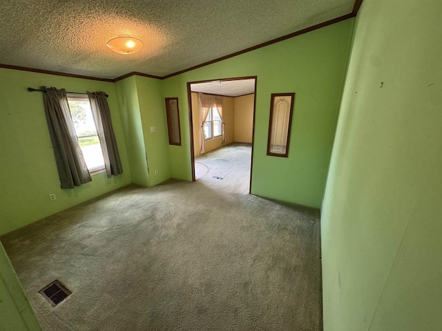 S7559 US Highway 12 Unit M-8, North Freedom, WI 53951 - carpeted empty room featuring ornamental molding, a textured ceiling, vaulted ceiling, and plenty of natural light