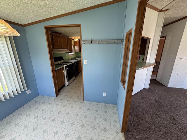S7559 US Highway 12 Unit M-8, North Freedom, WI 53951 - kitchen featuring white range with gas stovetop, under cabinet range hood, a textured ceiling, vaulted ceiling, and ornamental molding