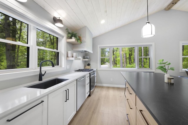 W2434 Timber Trl, Keshena, WI 54135 - kitchen with a sink, appliances with stainless steel finishes, light wood-style floors, pendant lighting, and open shelves