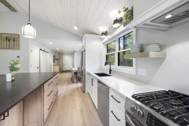 W2434 Timber Trl, Keshena, WI 54135 - kitchen with a sink, stainless steel appliances, vaulted ceiling, open shelves, and extractor fan
