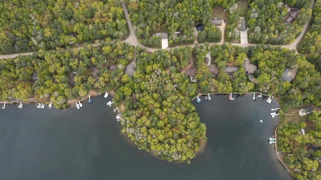 W2434 Timber Trl, Keshena, WI 54135 - aerial overview of property's location with a nearby body of water