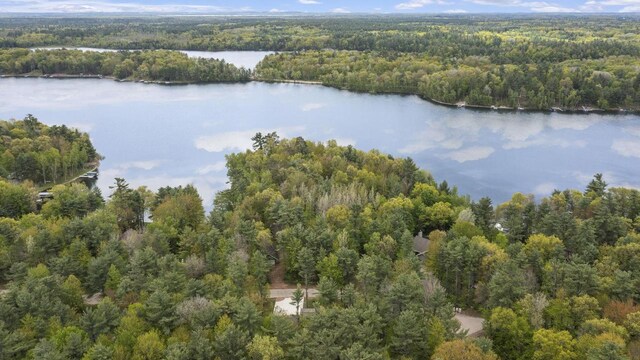 W2434 Timber Trl, Keshena, WI 54135 - aerial view of property's location featuring a heavily wooded area and a large body of water