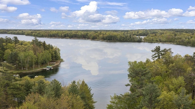 W2434 Timber Trl, Keshena, WI 54135 - water view featuring a forest