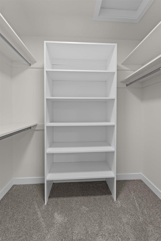 727 Schubert St, Verona, WI 53593 - walk in closet with carpet floors